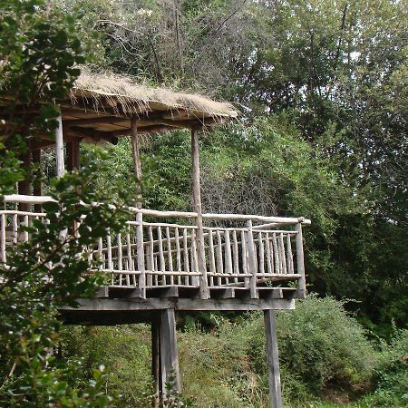 Puelo Siempreverde Villa Puelo River Luaran gambar