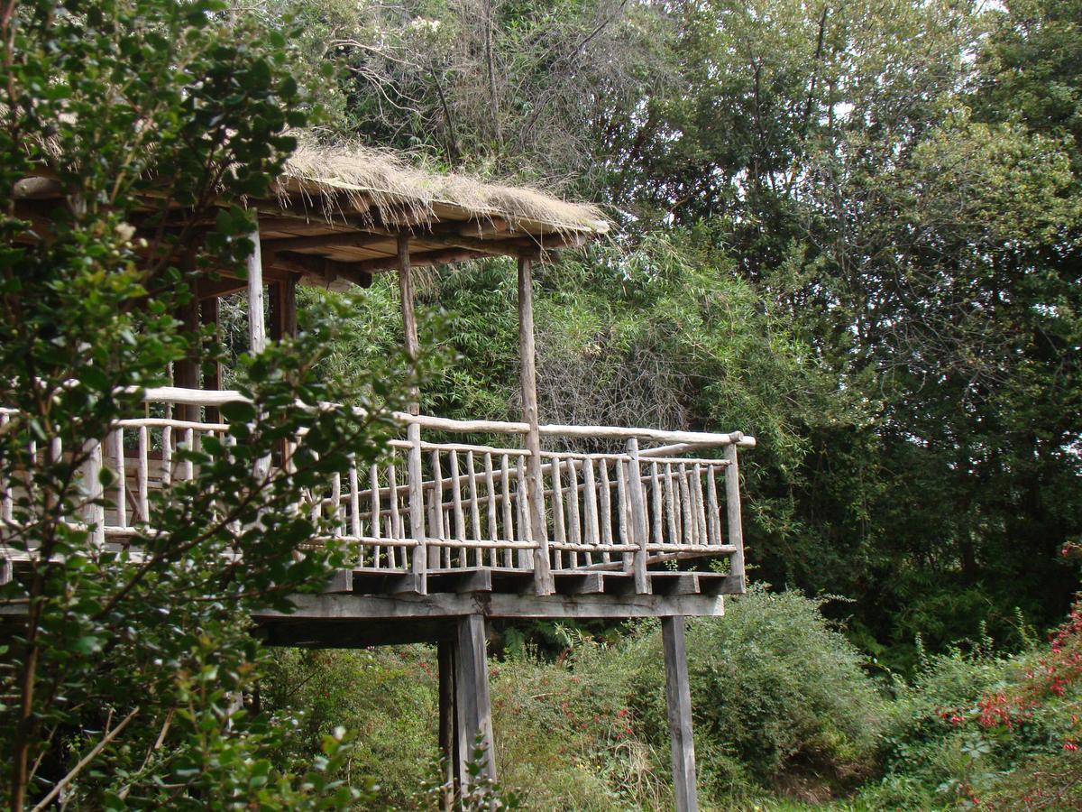 Puelo Siempreverde Villa Puelo River Luaran gambar